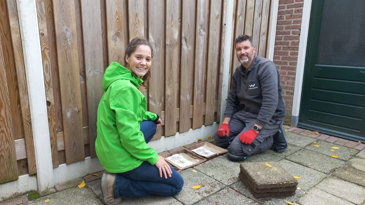 Tegels eruit halen voor meer groen op Dag van de Duurzaamheid